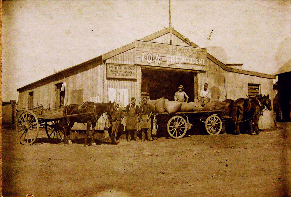 Taylor's Produce Store, Pennant Hills Road, Pennant Hills.