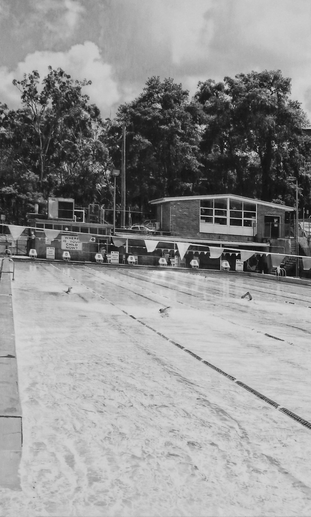 Hornsby Olympic Swimming Pool