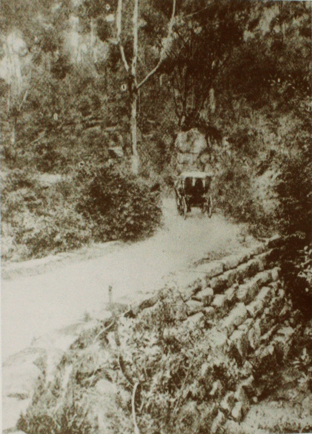 Coops Creek, Wahroonga