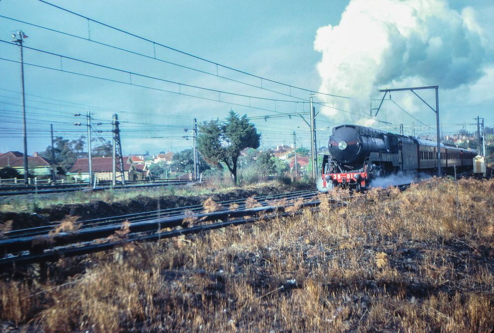 Locomotive 3801 near Asquith, 1962