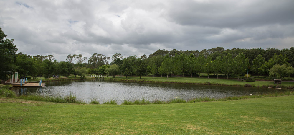 Fagan's Park lake, 2015