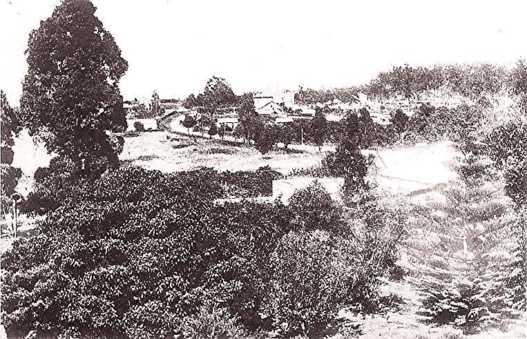 Loch Maree - Thornleigh