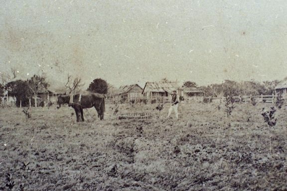 Unidentified member of the Bellamy family harrowing