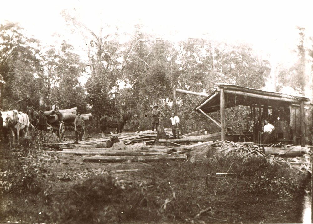 Blissett's Sawmill, Pennant Hills Road, West Pennant Hills