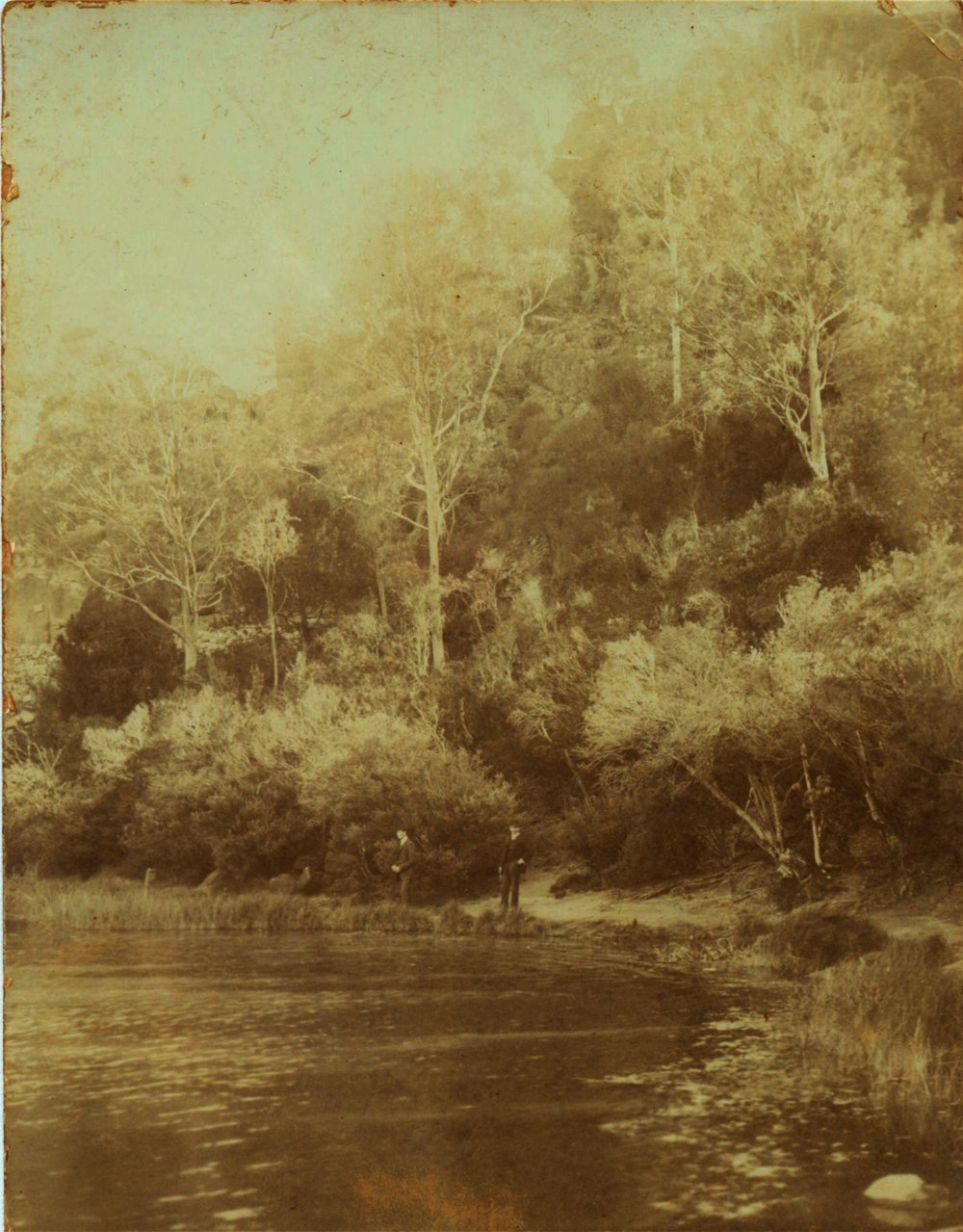 Waratah Bay, Cowan Creek