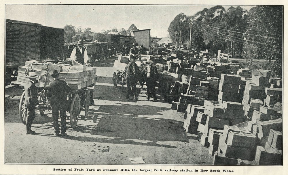 Pennant Hills Goods Yard