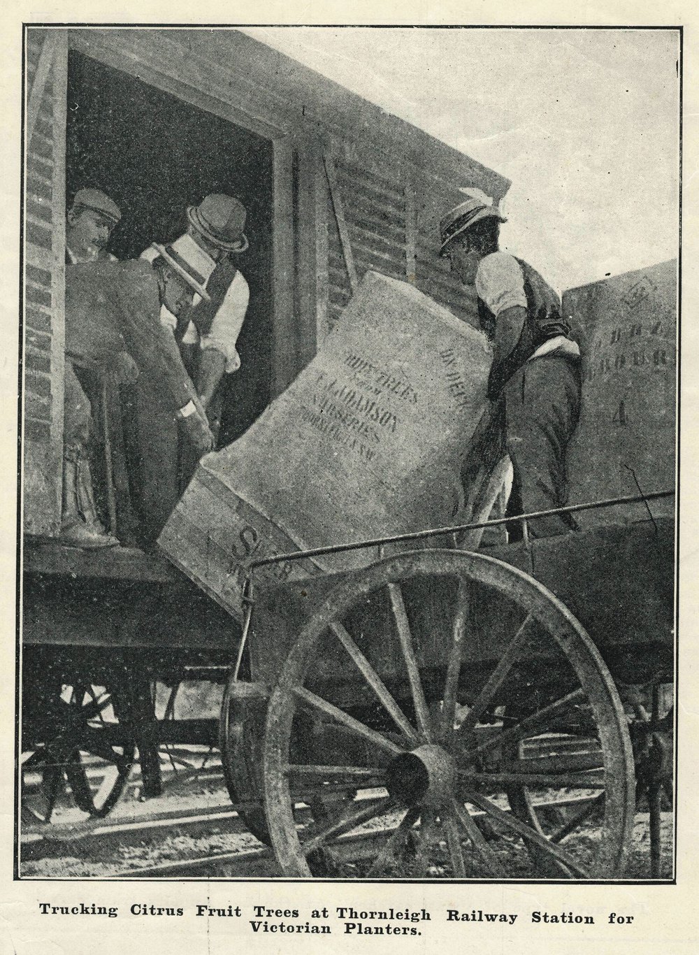 Thornleigh Goods Yard