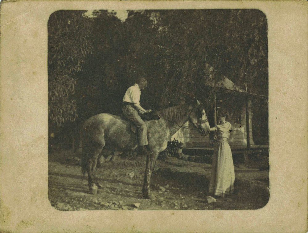 Harrington Family of Old Mans Valley