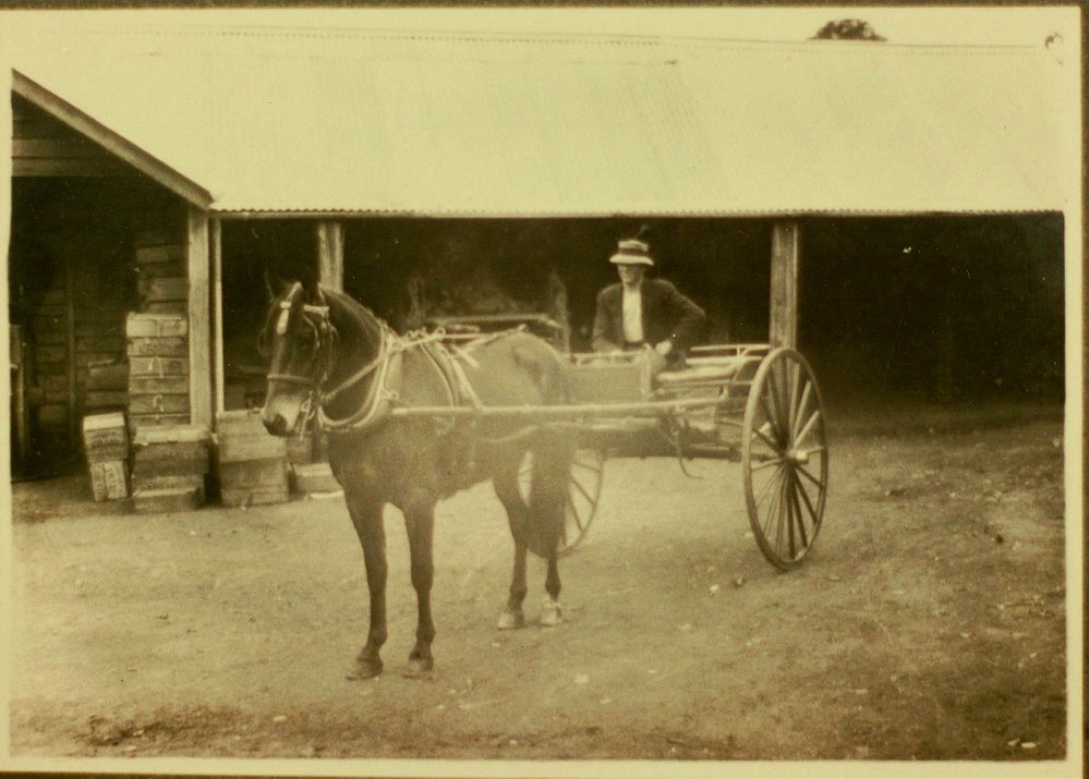 Maher family at West Pennant Hills