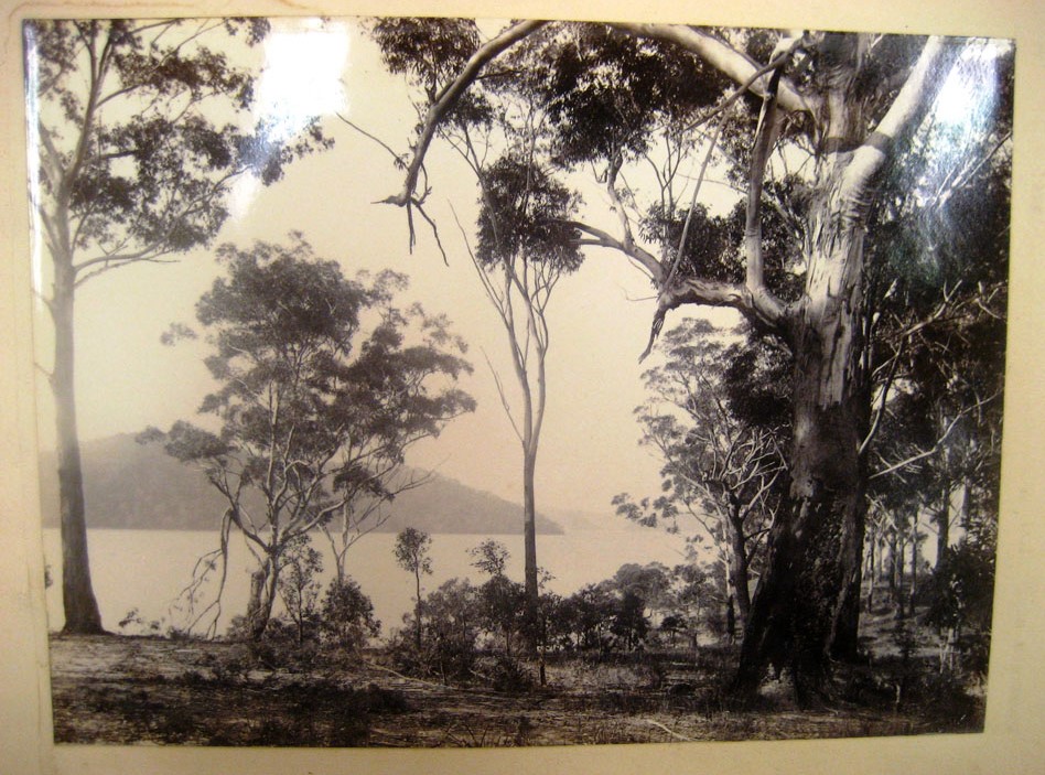 View of Dangar Island