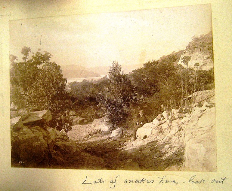 Lots of snakes here, near the Hawkesbury River