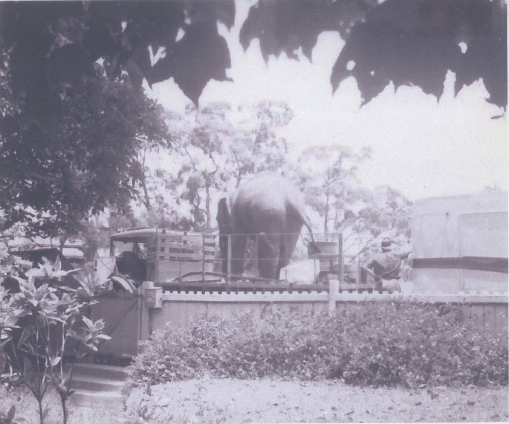 Wirth's Circus truck with elephant outside Carnralla, 368, Pacific Highway, c1946
