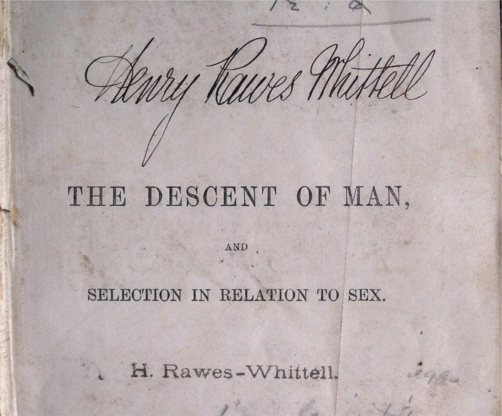 Henry Rawes Whittell