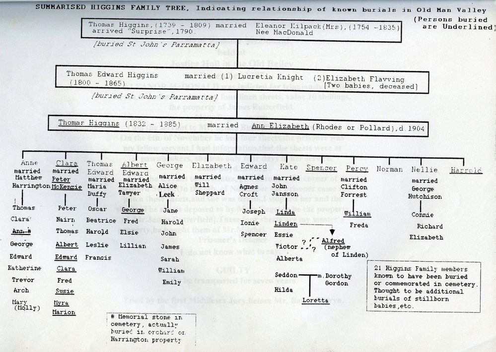Summarised Higgins family tree