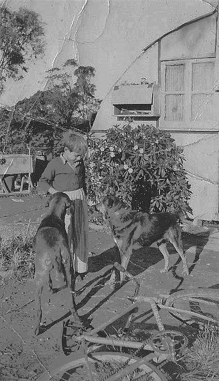 The flat roofed home in Waratah Road - Berowra