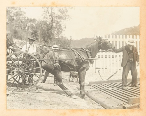 The Reluctant Punt Passenger  - Berowra Waters Ferry