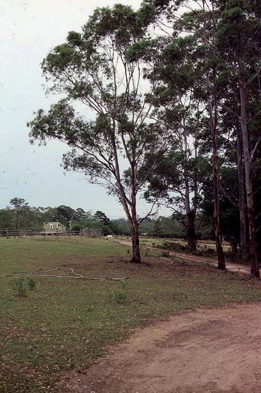 Erambie Park, West Pennant Hills