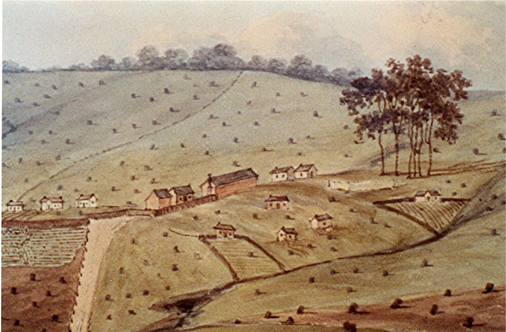 The Castle Hill Government Farm