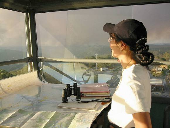 Fire spotters at Berowra