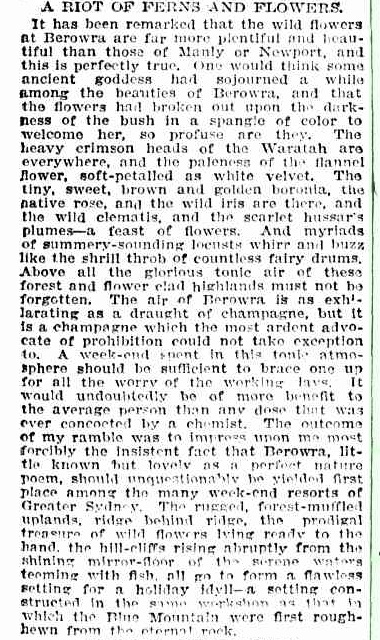 Flowers that bloom in Berowra