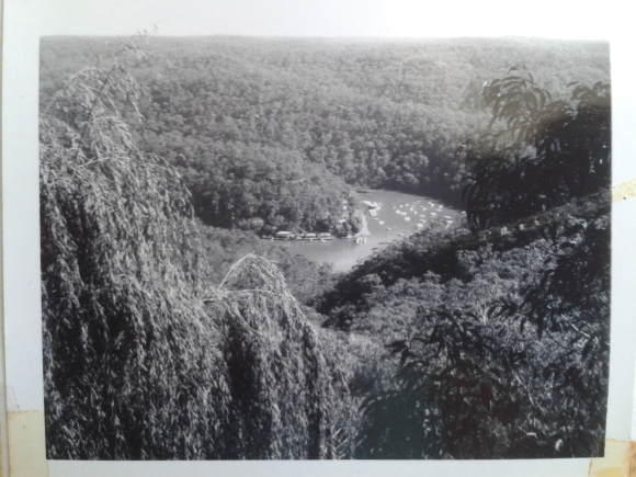 Somewhere in the Australian bush - Berowra Waters