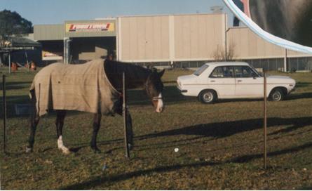 Remembering IGA at Berowra