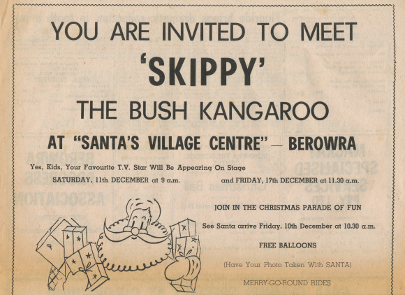 Meet Skippy the Bush Kangaroo at Berowra