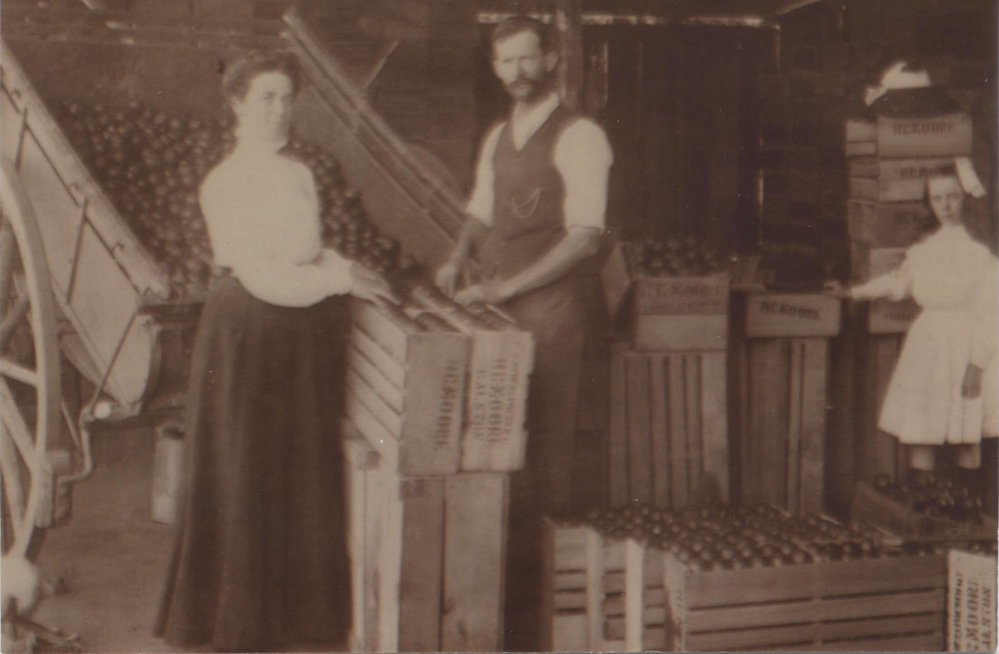 Harry and Elise Moore packing oranges in Arcadia.