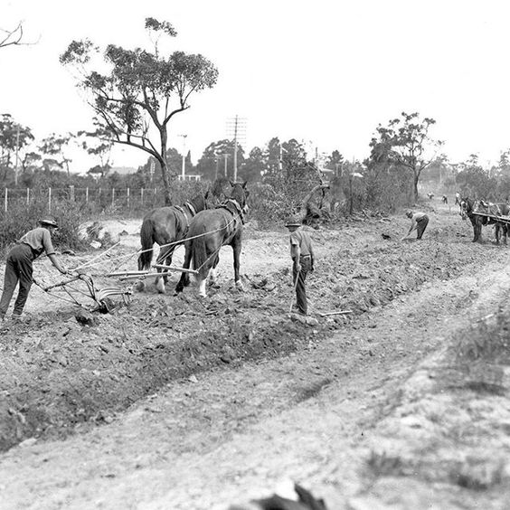 Construction of the Pacific Highway near Berowa