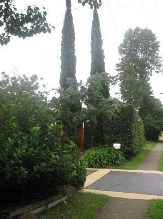 Margaret Preston's Garden - Berowra