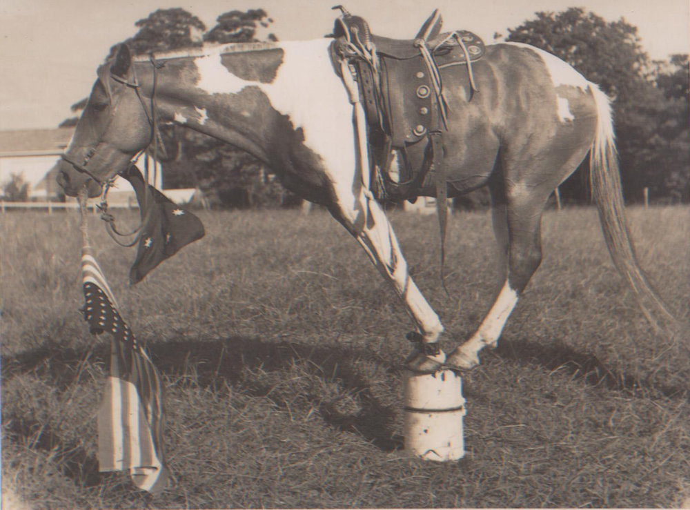 Jim Wilton's wonder horse, Target 