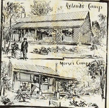 Ryland and Morses's camps on Dangar Island