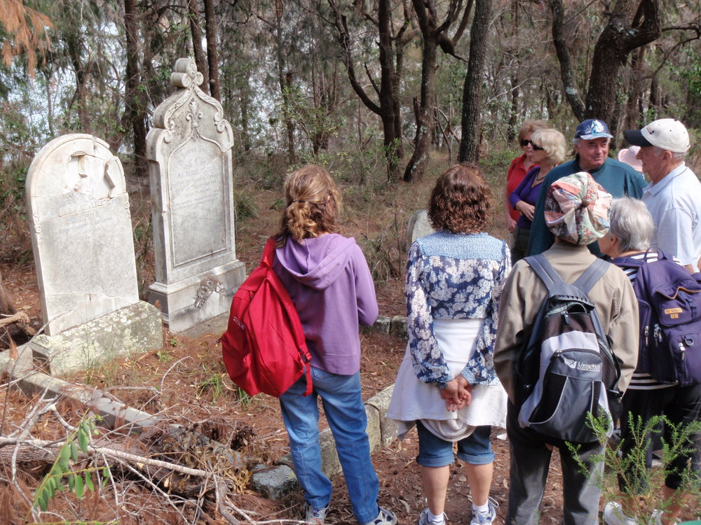 Guided Bushwalk on Bar Island - Hawkesbury River