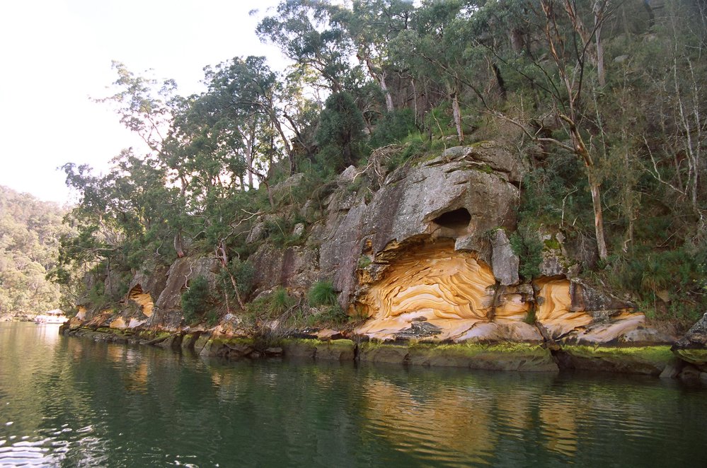 Exposed Sandstone Rock Face at Berowra Creek
