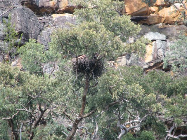Sea Eagles Nest, Lower Hawkesbury River