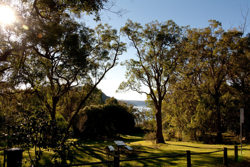 Rest Park, Brooklyn.