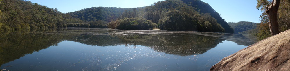 Crosslands Reserve, Berowra Creek, Hornsby 2011