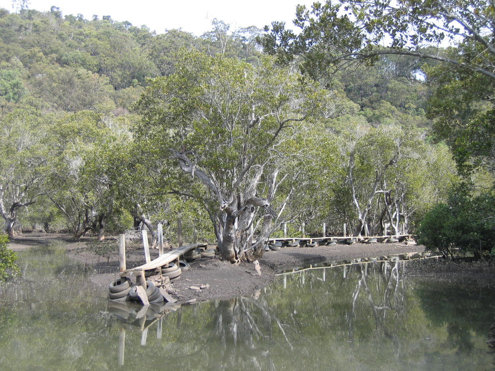 Mangroves &amp; Broadwalk, Lower Hawkesbury Estuary
