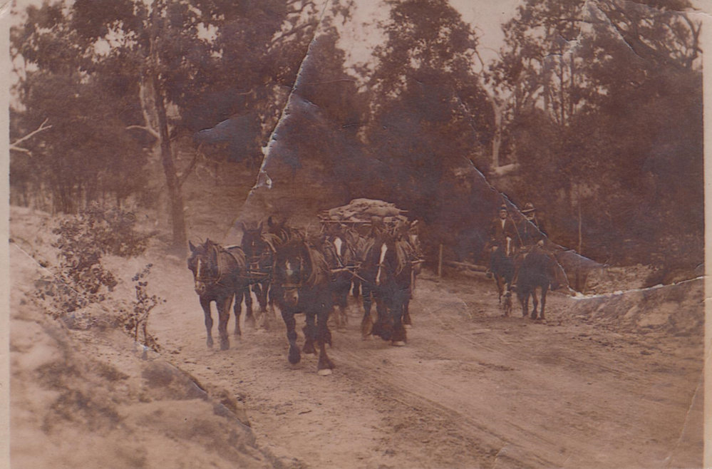 A team of horses hauling a load out of Old Mans Valley