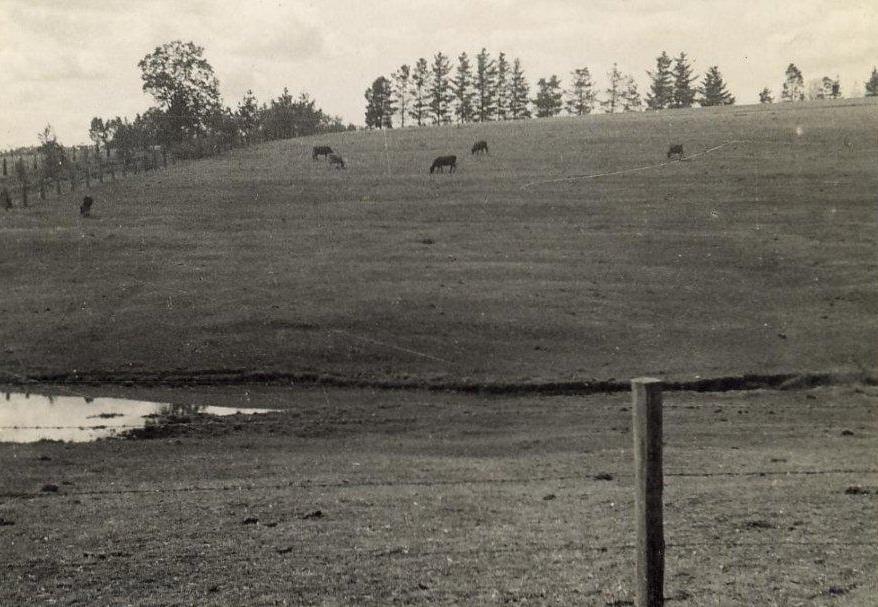 View from John's Road, Pennant Hills