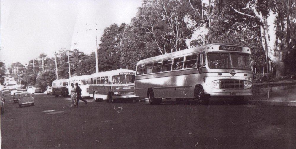 Buses along Yarrara Road, Pennant Hills