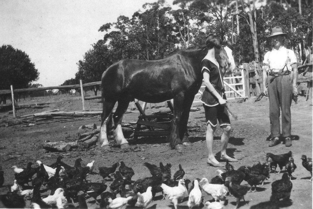 The Barry's with the horse Carmody King, Pennant Hills