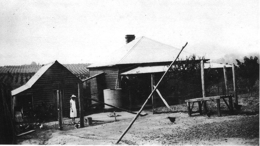 Barry's family farm, Pennant Hills