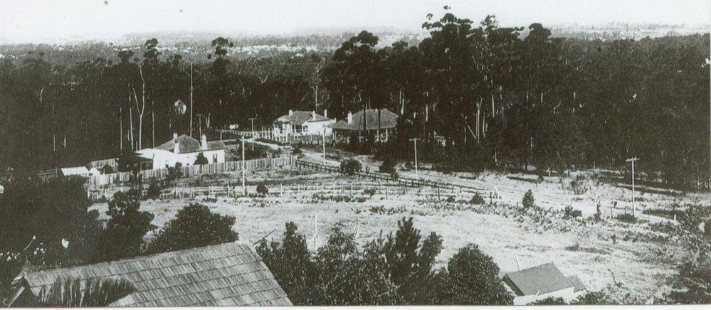 Blackacre Estate, Pennant Hills
