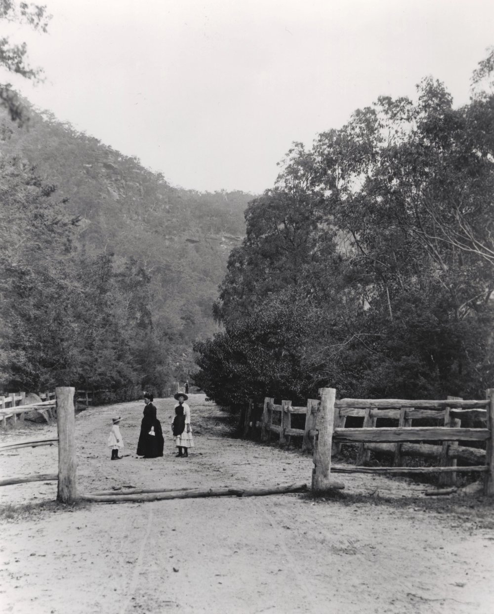 Main Road near Wiseman's Ferry