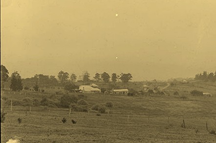 Farm house at Carlingford 