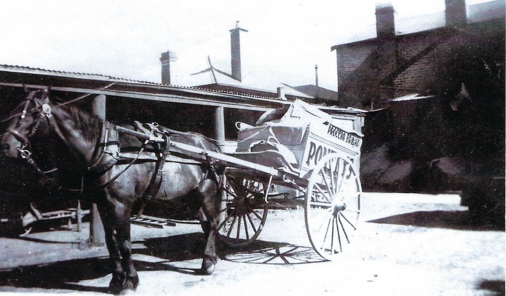 Pontey's Bakery delivery horse &amp; cart 