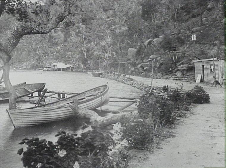 Waratah Bay in the early 1900"s