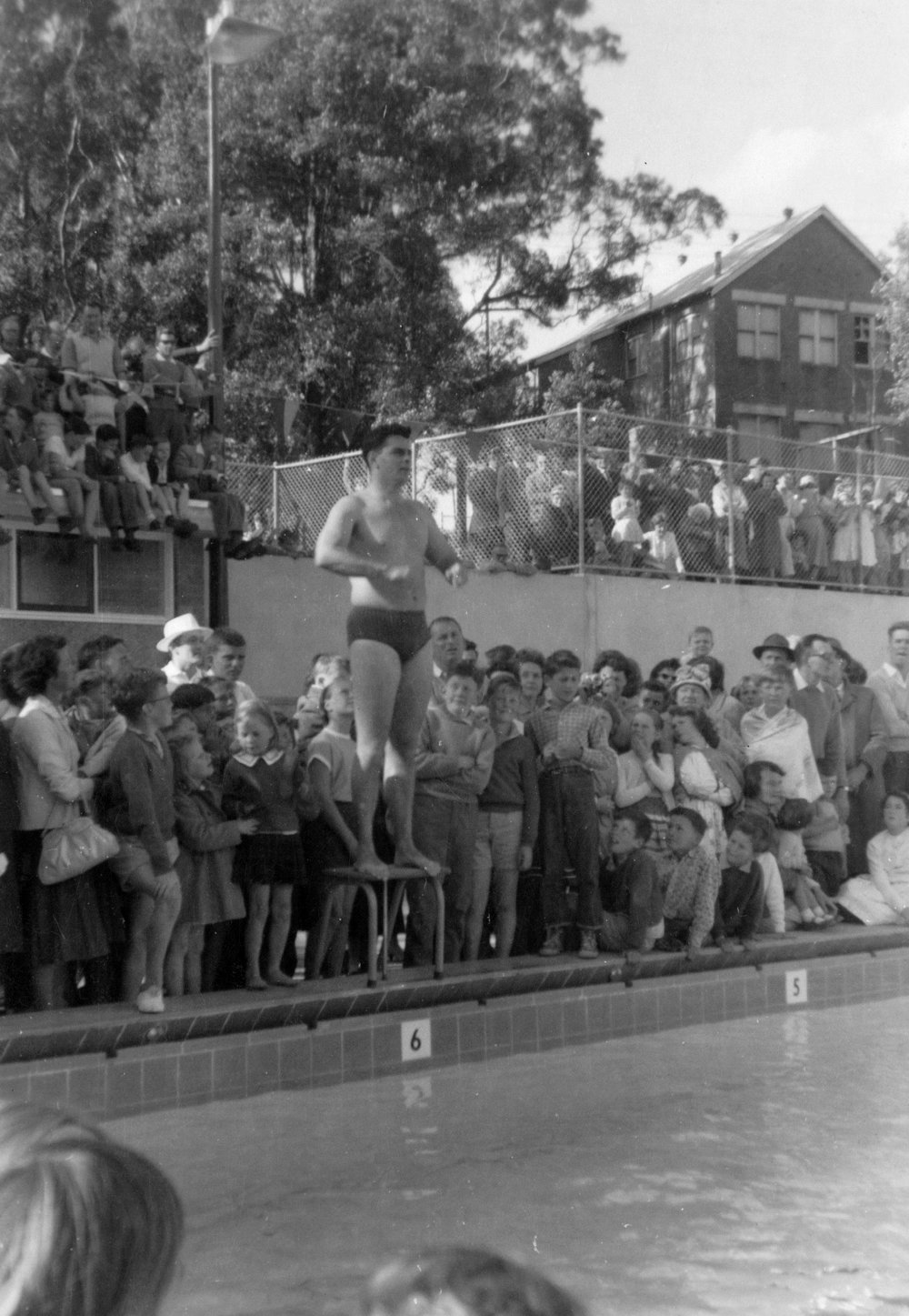 Opening day at the Hornsby Olympic Pool