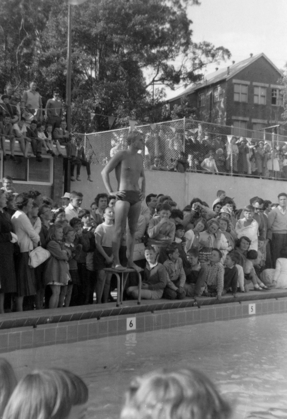 Opening day at the Hornsby Olympic Pool